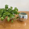 Miniatyrbild 6 av 9: Disco Ball Planter Hängande Planter Heminredning Spegel Dekorativa växtkrukor 10cm