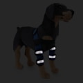 Miniatyrbild 2 av 9: Hundbenets främre ben kompressionsbandage ger extra stöd för hasleden justerbar hund husdjursvård Black Three Generations M