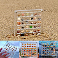 Miniatyrbild 5 av 9: Akryl Seashell Display Box med magneter Slitstark sjöstjärnor Trinket case för pärlspik 100 Grid