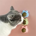 Miniatyrbild 3 av 10: Crab Catnip Ball Leksak Tandrengöringsverktyg Roterbar boll med lock Självhäftande kattleksak Green