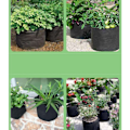 Miniatyrbillede 5 af 5: IC 5 Plantesække, Non-Woven Træplantningssække til dyrkning af planter (sorte og grønne kanter, ingen bærende (1 gallon) Φ18*15)