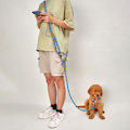 Miniatyrbillede 1 af 2: IC Hundsele med Handsfree Koppel - Læder Hundpromenader