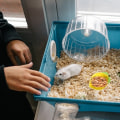 Miniatyrbillede 4 af 5: IG Hamstermat Vandskovl Keramisk Foder Skål Husdyrfoder