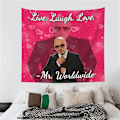 Pikkukuva 2 / 5: IC Mr. Worldwide sanoo elää Nauti Rakkaus Gobelin Seinä