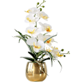 Miniatyrbillede 1 af 5: IG Kunstig blomst Phalaenopsis plastikorkidé i bonsai potte