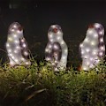 Miniatyrbillede 5 af 5: 3x Julepingviner Akryl Lysende Udendørs Figur Have Jordlampe Dekoration Farvet Lys Akryl(L)