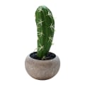 Pikkukuva 1 / 3: IC Simulering växt krukväxt simulering blomma kaktus bonsai