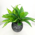 Pikkukuva 4 / 4: IC 2 buntar konstgjorda växter, falska Boston Fern Greenery Utomhus grön