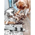 Miniatyrbild 3 av 5: 3 st Skinny Peltz No Stuffing Pipande plysch Hundleksak No Danger Dog Chew Toys Set