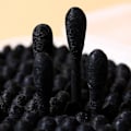 Miniatyrbilde 4 av 5: IC Spisse bomullsdotter, 800 stk. presisjonsspisser bomullsdotter Spiralhode Bomullsdotter med papirstang for sminkefjerning