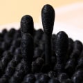 Miniatyrbillede 4 af 5: IC Spidse Bomuldspinde, 800 stk. Præcisionsspids Bomuldspinde Spiralhoved Bomuldsknopper med Papirstik til Makeuprensning