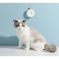 Miniatyrbild 2 av 4: IC Kattströmsdeodoriserare USB-uppladdningsbar mini luftrenare för husdjur