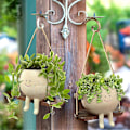 Miniatyrbillede 3 af 5: Swing Face Planter Pots, Søde Væghængte Resin Blomsterhoved Planter Til Indendørs & Udendørs, Succule