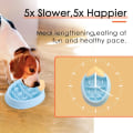 Miniatyrbild 4 av 5: IG Hundkatt Slow Feeder Skål Valp Slow Feeder Skål för Torrfoder Blå