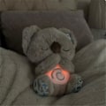 Miniatyrbilde 3 av 5: Trøstende Koalabjørn, Sovende Oter, Angstdempende Koala, Pustende Oter, Bærbar Plysjleke med Musikk, Lys og Rytmisk