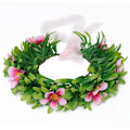 Miniatyrbillede 1 af 4: Moana Kjoler Piger Børnetøj Cosplay Vaiana Prinsessekjole Halskæde Paryk Børn Karneval Fest Sommer Disney Kostume Sæt Guirlande Garland 13-14T(170)
