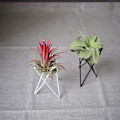 Miniatyrbilde 1 av 5: IC Luftplanteholder, Stativ for blomsterpotter i jern, Luftplanter for bordplater
