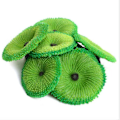 Pikkukuva 4 / 5: IC Soft Disc Coral Aquarium Artificiell Fisktank Ornament Dekor Blå
