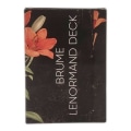 Pikkukuva 4 / 5: IC Full English Deck Brume Lenormand Deck Tarotkort för familj F
