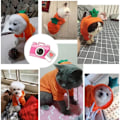 Miniatyrbillede 4 af 5: IC Kæledyrs Tøj Hund Hættetrøjer Varmt Trøje Kappe Hvalp Efterår Vintertøj Jumpsuit med Frugt Hætte, Gulerod, XXL