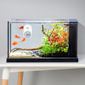 Miniatyrbillede 5 af 5: IC 3 i 1 Elektronisk Akvarium Vandtermometer Hygrometer LCD-Display