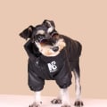 Miniatyrbilde 3 av 5: IC (xs) Luksuriøs hundedunjakke Vinterklær for kjæledyr for små hunder Reflekterende stor hundekappe Farge Svart