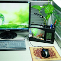 Miniatyrbillede 3 af 5: IC Kreativ multifunktionel USB Mini Akvarium Fiskedam LED Lampe Pen Liten Guldfisk Skål Sort