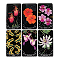 Miniatyrbillede 3 af 5: Et lille regn Botanisk Oracle Card Tarot Spådomsspil