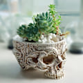 Miniatyrbillede 3 af 5: IG Skull Planter udskårne hjerter skelet blomsterpotter have