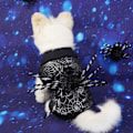 Miniatyrbillede 3 af 5: IC Kæledyrs Tøj til Store Hunde To-bens Hoodie til Hanhund Halloween Legetøjskostume til Kæledyr Tøjstativ Small (Sort, S)