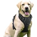 IC CNE Medium Hundbärare, Anti-Drag Sele Hundkoppel