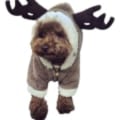 Pikkukuva 2 / 5: IC Söta tecknade husdjursren Cosplay Halloween Jul älg Co
