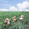 Pikkukuva 2 / 5: IC 5 kpl Kanin Koriste Fairy Garden Tarvikkeet Miniatyyri