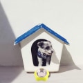 Miniatyrbillede 5 af 5: IG Hundeskål i rustfrit stål, foderautomat til hund og kat, madskål grøn