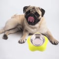 Miniatyrbillede 5 af 5: IG Hundeskål i rustfrit stål, foderautomat til hund og kat, madskål grøn