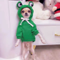 Miniatyrbild 3 av 5: IC Husdjurskläder Hundhuvtröjor Varm Tröja Kappa Valp Höst Vinterkläder Jumpsuit med Huva, Groda, Storlek L