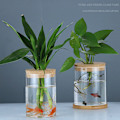 Miniatyrbillede 2 af 5: IC Gennemsigtig Hydroponisk Blomsterpotte Imitation Glas Soilless Flow 10cm