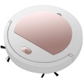Miniatyrbild 1 av 5: IC Cyclone sladdlös robotdammsugare för sopande & mattdamm