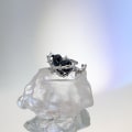 Pikkukuva 3 / 5: IC 1-pakkaus nischdesign Black Thorns Kärleksringar Frigid Wind Avatut Renkaat Rajaton Hertz Renkaat Miehille ja Naisille