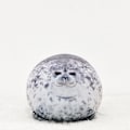 Miniatyrbilde 1 av 5: IC Seal Pute Akvarium Plysj Leke -1