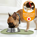 Miniatyrbild 5 av 5: IG Djurmattor Hund Katt Fodermatta Moln Silikon Pad Halksäker Grön