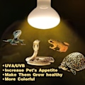 Miniatyrbillede 4 af 5: UVA + UVB Reptil Lampe Pære Skildpadde Solbadning UV Pærer Varmelampe Padder Firben Temperaturregulator - 60W..DEBUNS