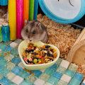 Pikkukuva 4 / 5: IG 2st Hamster Keramisk Mat- och Vattenskål Anti-Vrid