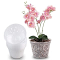 Miniatyrbild 2 av 5: IC Blomkruka med dräneringshål - Transparent inomhuskruka för orkidéer med bricka