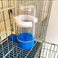 Miniatyrbillede 5 af 5: IC 3 stk 240ml blå flaske flaske hvid bund drikker fugl drikker automatisk feeder fuglebur tilbehør tilbehør