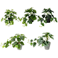 Miniatyrbillede 3 af 5: IC 100: Kunstige blomster kunstige planter Store tørrede hvedeblomster hvid grøn med potte 1 stk