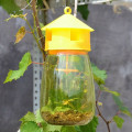 Miniatyrbilde 4 av 5: IC felle fruktstativ melon frukt insekter fruktflue bi armyworm kl Yellow