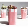 Miniatyrbillede 3 af 3: IC Mini Keramik Blomsterpotter til Hjem, Have, Kontor og Indendørs, B