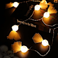Miniatyrbillede 2 af 3: IC Spooky Halloween Lysstreng - 10ft 20leds, 2 lystilstande