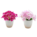 Pikkukuva 1 / 5: 2 kpl Simuloitu Pieni Hortensia Bonsai Silkki Kukkia Simuloitu Vihreä Kasvi Sisustus Tekokasvi Ruukkukasvi